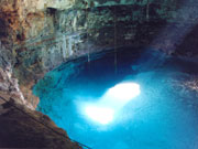 Mexico-natuur-cenote